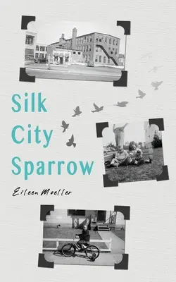 Hodvábny mestský vrabec - Silk City Sparrow