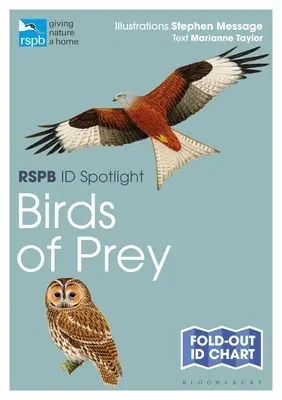 Rspb Id Spotlight - Dravé vtáky - Rspb Id Spotlight - Birds of Prey