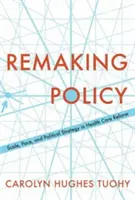 Prepracovanie politiky: Vymieňanie politiky: rozsah, tempo a politická stratégia v reforme zdravotníctva - Remaking Policy: Scale, Pace, and Political Strategy in Health Care Reform