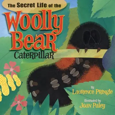 Tajný život húsenice medvedíka vlnkovaného - The Secret Life of the Woolly Bear Caterpillar