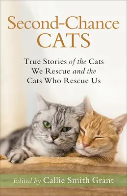 Mačky druhej šance: Pravdivé príbehy mačiek, ktoré zachraňujeme, a mačiek, ktoré zachraňujú nás - Second-Chance Cats: True Stories of the Cats We Rescue and the Cats Who Rescue Us