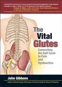 Vital Glutes - Spojenie cyklu chôdze s bolesťou a dysfunkciou - Vital Glutes - Connecting the Gait Cycle to Pain and Dysfunction