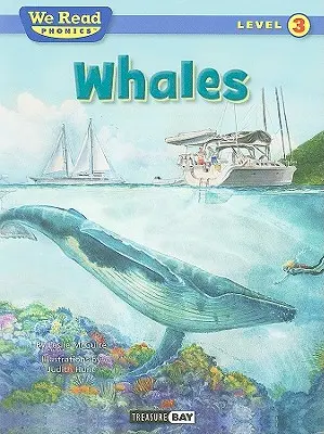Veľryby - Whales