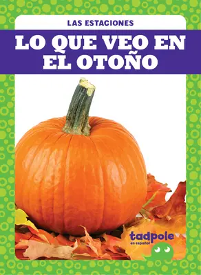Lo Que Veo En El Otoo (Čo vidím na jeseň) - Lo Que Veo En El Otoo (What I See Fall)