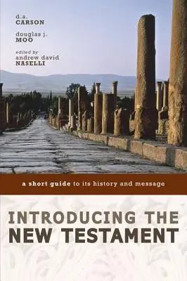 Predstavujeme Nový zákon: Krátky sprievodca jeho históriou a posolstvom - Introducing the New Testament: A Short Guide to Its History and Message