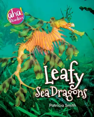 Listnatí morskí draci - Leafy Sea Dragons
