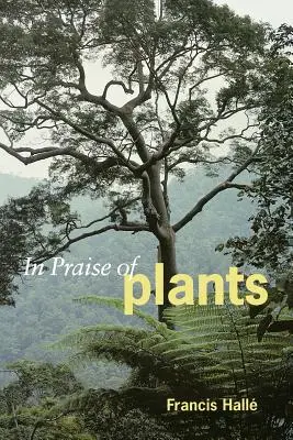 Na chválu rastlín - In Praise of Plants