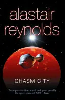 Mesto priepasti - Chasm City