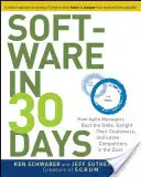 Software in 30 Days: How Agile Managers Beat the Odds, Delight Their Customers, and Leave Competitors in the Dust