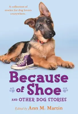 Kvôli topánke a iné psie príbehy - Because of Shoe and Other Dog Stories