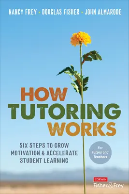 Ako funguje doučovanie: Šesť krokov na zvýšenie motivácie a urýchlenie učenia sa študentov - How Tutoring Works: Six Steps to Grow Motivation and Accelerate Student Learning