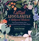 Cattail Moonshine & Milkweed Medicine (Pálenka z chvostoskoka a mliečny lekvár): Pôvodné severoamerické rastliny: Zvedavé príbehy 43 úžasných severoamerických pôvodných rastlín - Cattail Moonshine & Milkweed Medicine: The Curious Stories of 43 Amazing North American Native Plants