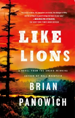 Ako levy - Like Lions