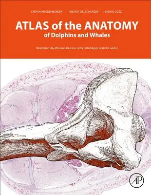 Atlas anatómie delfínov a veľrýb - Atlas of the Anatomy of Dolphins and Whales