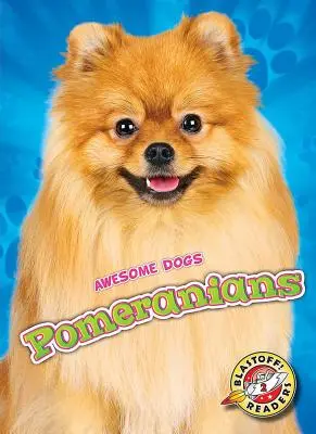 Pomeranče - Pomeranians