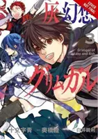 Grimgar of Fantasy and Ash, Vol. 3 (Manga)