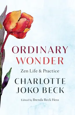 Obyčajný zázrak: Život a prax zenu - Ordinary Wonder: Zen Life and Practice
