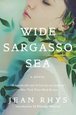 Široké Sargasové more - Wide Sargasso Sea