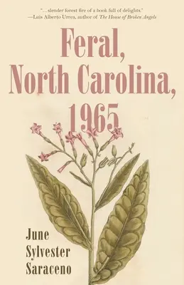 Feral, Severná Karolína, 1965 - Feral, North Carolina, 1965