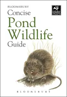 Stručná príručka o živočíchoch žijúcich v rybníku - Concise Pond Wildlife Guide