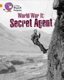 Druhá svetová vojna: Tajný agent - World War II: Secret Agent
