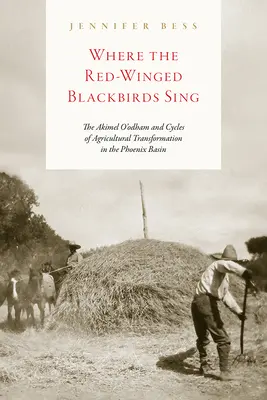 Kde spievajú červenokrídle kosy: Akimel O'Odham a cykly poľnohospodárskej transformácie v povodí rieky Phoenix - Where the Red-Winged Blackbirds Sing: The Akimel O'Odham and Cycles of Agricultural Transformation in the Phoenix Basin
