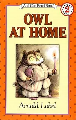 Sova doma - Owl at Home