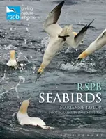Rspb Morské vtáky - Rspb Seabirds