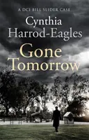 Gone Tomorrow - Záhada Billa Slidera (9) - Gone Tomorrow - A Bill Slider Mystery (9)