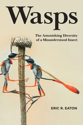 Osy: Ohromujúca rozmanitosť nepochopeného hmyzu - Wasps: The Astonishing Diversity of a Misunderstood Insect