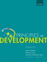 Princípy vývoja - Principles of Development