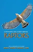 Fotografický sprievodca severoamerickými dravcami - A Photographic Guide to North American Raptors