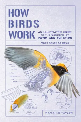 Ako fungujú vtáky: Ilustrovaný sprievodca zázrakmi formy a funkcie - od kostí po zobák - How Birds Work: An Illustrated Guide to the Wonders of Form and Function--From Bones to Beak