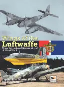 Krídla Luftwaffe: Lety ukoristených nemeckých lietadiel počas druhej svetovej vojny - Wings of the Luftwaffe: Flying the Captured German Aircraft of WWII