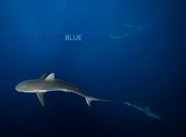 Volanie modrej - Call of the Blue
