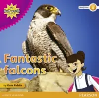 Môj svet v Perzskom zálive a ja, úroveň 4, čítanie literatúry faktu: Fantastické sokoly - My Gulf World and Me Level 4 non-fiction reader: Fantastic falcons