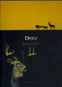 Jeleň - Deer