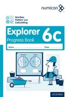 Numicon: (balenie 30 kusov) - Numicon: Number, Pattern and Calculating 6 Explorer Progress Book C (Pack of 30)