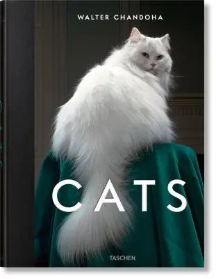 Walter Chandoha: Poézia a poézia o živote a diele, ktoré vzniklo v roku 1914.  Fotografie 1942-2018 - Walter Chandoha. Cats. Photographs 1942-2018