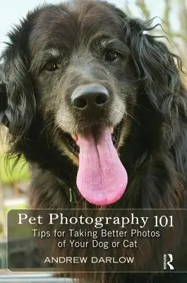 Fotografovanie domácich zvierat 101: Tipy na lepšie fotografie vášho psa alebo mačky - Pet Photography 101: Tips for Taking Better Photos of Your Dog or Cat