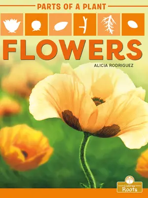 Kvety - Flowers