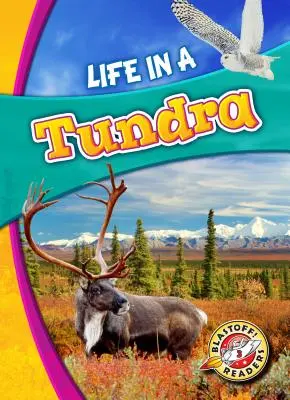 Život v tundre - Life in a Tundra