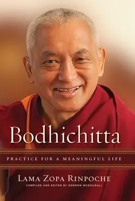 Bódhičitta: Čititcha: cvičenie pre zmysluplný život - Bodhichitta: Practice for a Meaningful Life