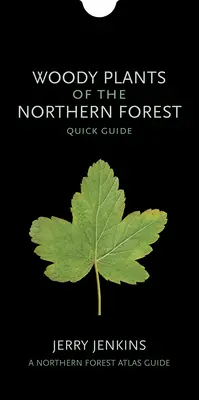 Woody Plants of the Northern Forest: Rýchly sprievodca - Woody Plants of the Northern Forest: Quick Guide