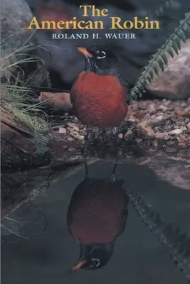 Robin americký - The American Robin
