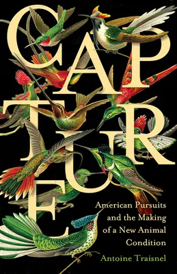 Zachytenie: Americký prenasledovateľ a vytváranie nového stavu zvierat - Capture: American Pursuits and the Making of a New Animal Condition