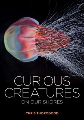 Zvedavé tvory na našich brehoch - Curious Creatures on Our Shores