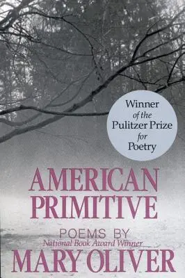 Americký primitív - American Primitive