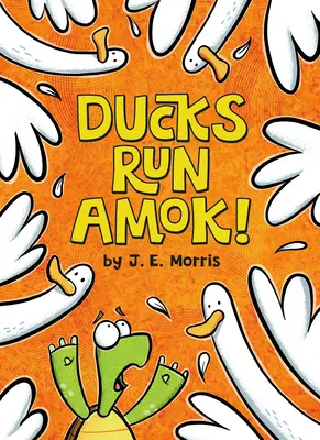 Kačice sa rozutekali! - Ducks Run Amok!