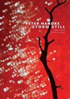 Stále búrka - Storm Still